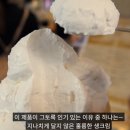 모모카서비스 이미지