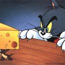 펫 치즈 클럽 이미지