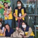 팔달구청 이미지