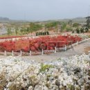 순교지공원 이미지