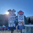 미앤마이독스 이미지