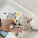 딱이네미용실 이미지