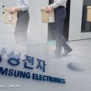 대륙인력 이미지