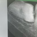 서울에이스치과의원 이미지