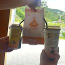 고성공업사 | 고성 명파해변오토캠핑장 ⛺️┃강원도 애견동반 캠핑장 코베아존 할인쿠폰