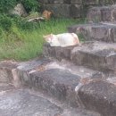 흥해기획 이미지