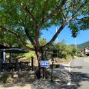 멀구슬민박 이미지