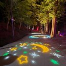 달빛 요가(야간) 이미지