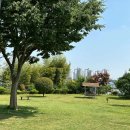 새서울방앗간 이미지