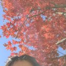 한국어로 읽고 싶어 | (116회) 실용글쓰기 시험 복기 및 후기.. 시험시간 3분 추가