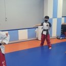 리틀태권도장 이미지