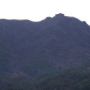 전봉준로 이미지