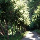 낫질로16 이미지