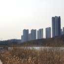 광교시너지레이크