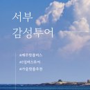 카멜리아세탁소 | 제주뚜벅이여행, 렌트 없이도 편하게 즐기는 핫플버스 추천해요.