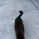 광산구-019 네이버블로그