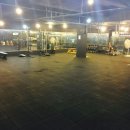 PITBULL GYM 이미지