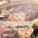 어달산오징어촌 이미지