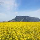 피아노와 반주(기초단계) 이미지