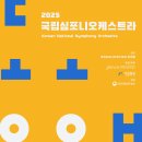 서울심포니 오케스트라 공연 이미지