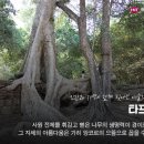 만남투어여행사 - 수성구 청호로46길 11 | 만남투어여행사
