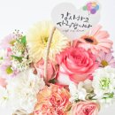 송일초등학교병설유치원 이미지