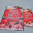 홍천축산 | 2025 홍천 사과축제 인삼한우명품축제 다녀왔어요 총정리