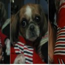 석전동016 이미지