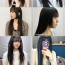 젤라헤어 이미지