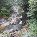 교학초등학교 이미지