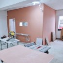 댕댕큘럼 이미지