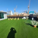 댕겨오시개 이미지