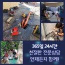 대동마대