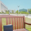 연세영어 - 원주시 단구로 408 | 연세영어