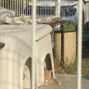 다혜꽃방 이미지