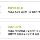 에스솔라