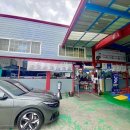 설카센타 이미지