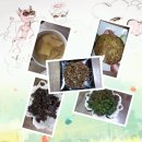 하나목장 이미지