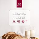 빵플러스 네이버블로그