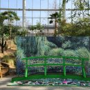 일월수목원전시온실 이미지