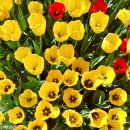 자동차용품 썬팅마트 이미지