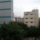팔구사 이미지