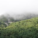 홍포주차장 이미지