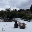 소남농장 이미지