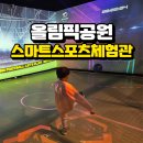 불도유치원 | 잠실 올림픽공원 스마트스포츠체험관 후기 | 6살 아이와 실내 스포츠 체험
