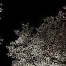 가탄교 위 이미지