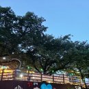 온천천시민공원 관리사무소 이미지