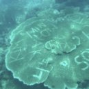 카 포인트 이미지