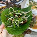 네오리안 인터렉티브 | [내돈내산] 대구 용산동 맛집 삼정산오리마을 본점 주차 메뉴 내부 후기 / 너무 맛있다...