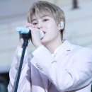 뮤직라이브 이미지